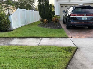 Burton B.'s grass maintenance service result