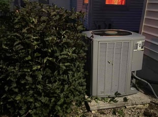 Kyle M.'s Bush Trimming service result