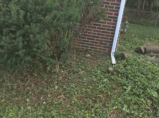 Steve R.'s Flower Bed Weeding service result
