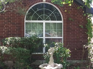Ken K.'s Bush Trimming service result