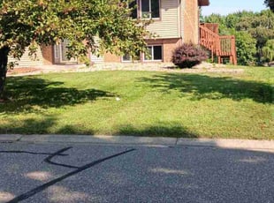 Arkin G.'s lawn care service result