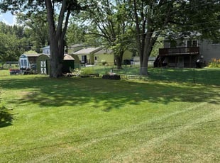 Lavetta T.'s grass cutting service result