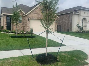 Shante M.'s lawn service service result