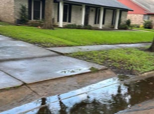 Monica W.'s grass cutting service result