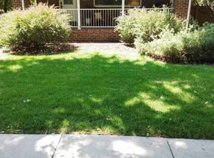 Karin H.'s lawn care services service result