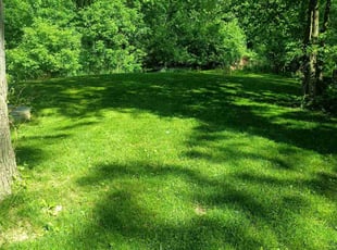 Hollis D.'s lawn care services service result