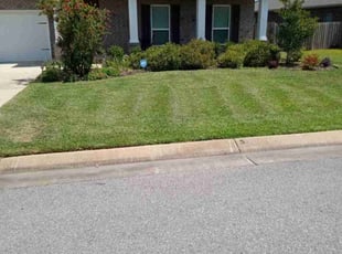 Sheila C.'s grass maintenance service result