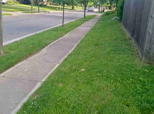 Megan B.'s lawn care services service result