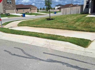 Sitara D.'s lawn service service result