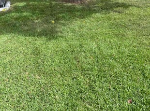 Robert W.'s lawn maintenance service result