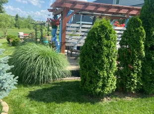 Brian W.'s lawn maintenance service result