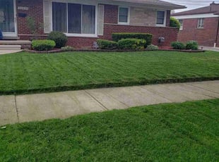 Julie S.'s turf care service result