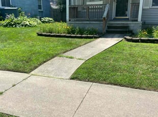 Patti B.'s grass maintenance service result