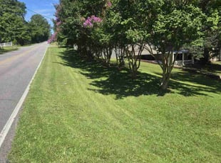 Amy T.'s lawn care service result