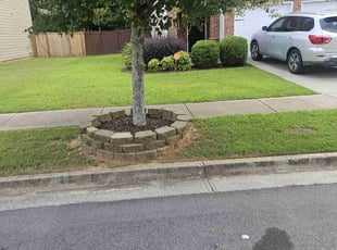 Teascha H.'s lawn service service result