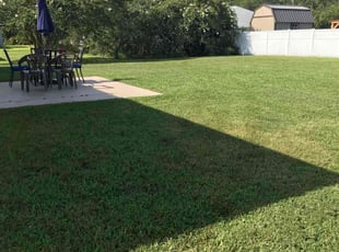 Satirah G.'s turf maintenance service result