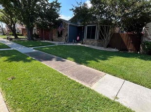Andy R.'s lawn maintenance service result