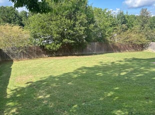 Kevin C.'s grass maintenance service result