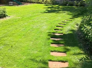 Bobbie W.'s Long Grass Cleanup service result