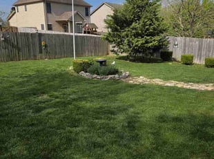 Kathy K.'s lawn maintenance service result