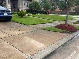 Darrell P.'s lawn care services service result