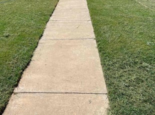 Olivia Y.'s lawn care service result