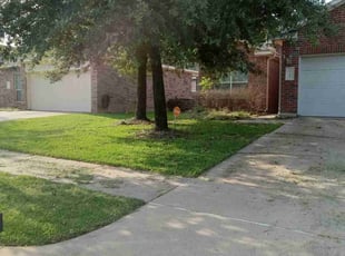 Laurel B.'s lawn maintenance service result