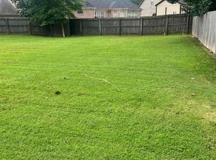 Tou L.'s lawn care service result