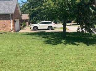 Sarah W.'s grass maintenance service result