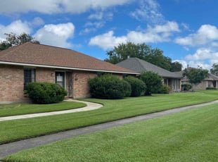 Nigel S.'s turf care service result