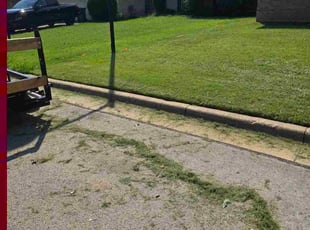 Randy B.'s grass cutting service result