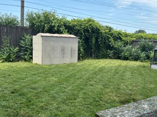 Dan S.'s lawn maintenance service result