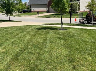 Karmen J.'s lawn service service result