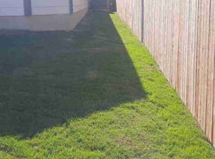 Melissa M.'s turf maintenance service result