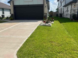 Lorenzo B.'s grass cutting service result