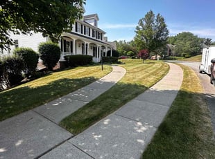 Elizabeth K.'s grass cutting service result