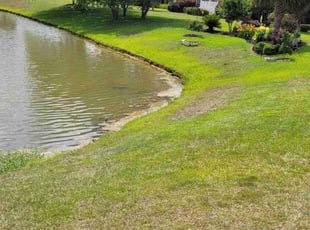 Linda M.'s lawn care services service result