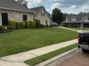 Daniel L.'s lawn care service result