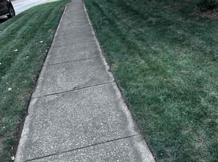 James C.'s grass cutting service result