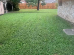 Jessie W.'s lawn care service result