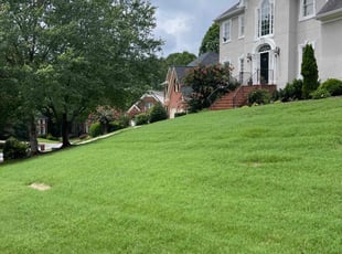 Vir S.'s grass cutting service result