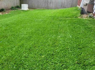 Tracy B.'s lawn maintenance service result
