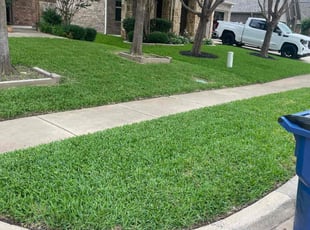 Joe M.'s lawn care service result