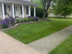 Taylor F.'s lawn service service result