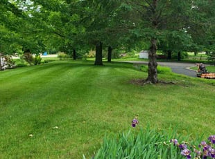 Logan L.'s lawn maintenance service result
