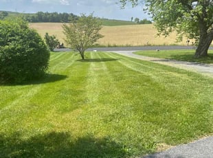 LeRoy A.'s lawn maintenance service result