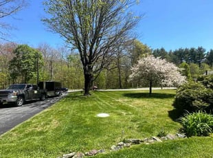 Aleta H.'s lawn service service result