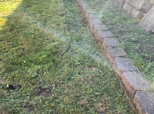 Tony W.'s lawn care service result