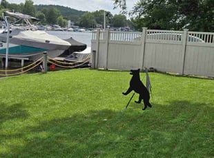 Robert G.'s turf maintenance service result