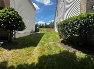Dawn B.'s turf maintenance service result